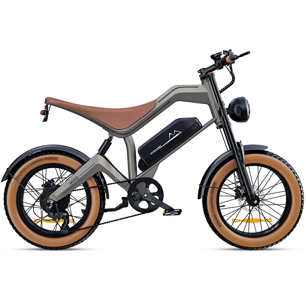 DYU M20 All-Terrain Long-Range Electric Bike - Image 2